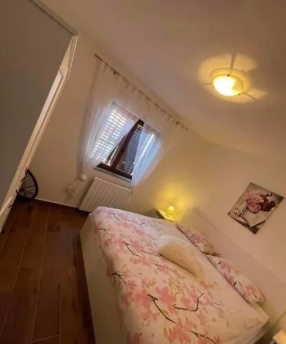 Charming In Apartment